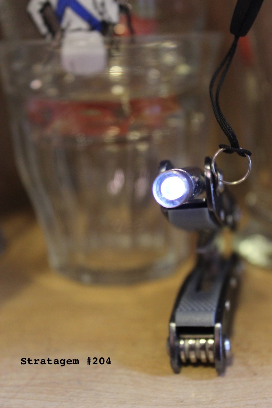 Stratagem #204