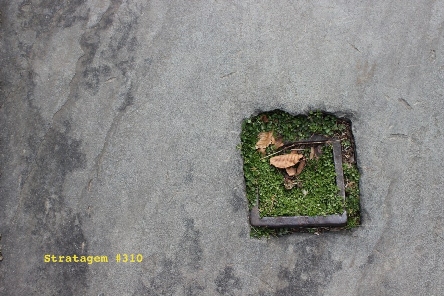 Stratagem #310
