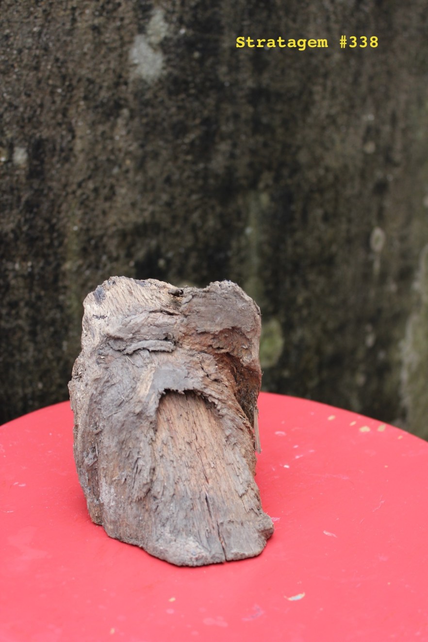 Stratagem #338