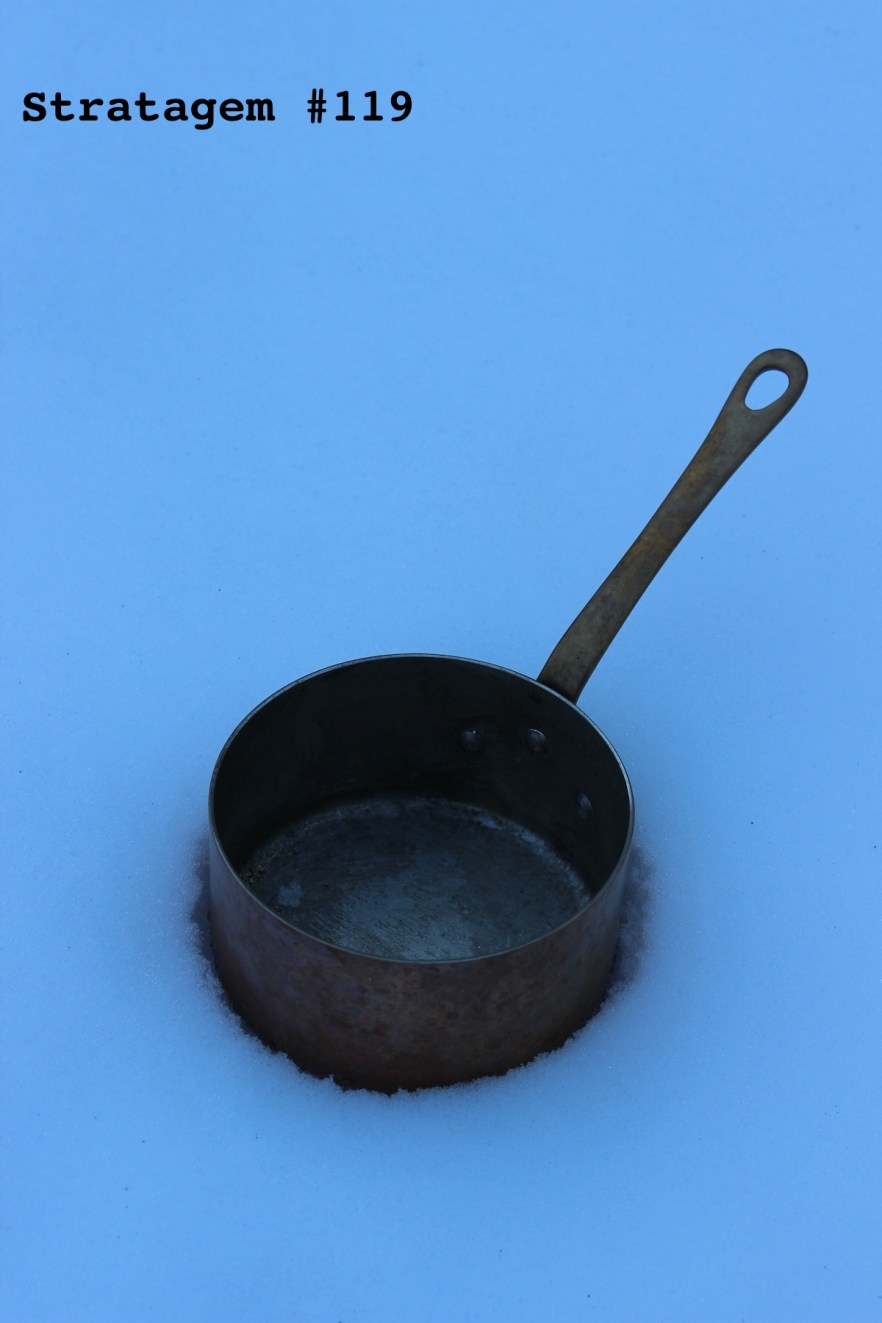 Stratagem #119