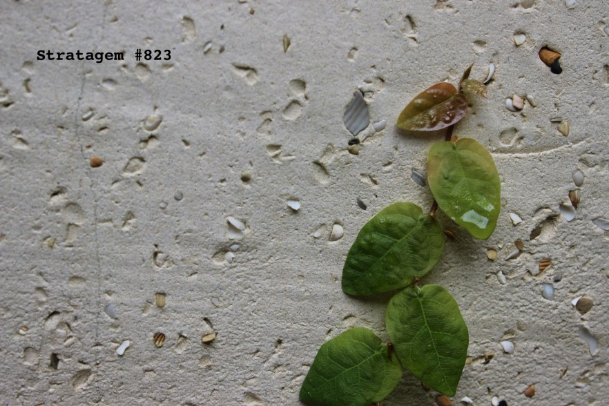 Stratagem #823